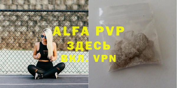 spice Вяземский